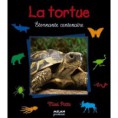 /album/galerie-photos/tortue-jpg/